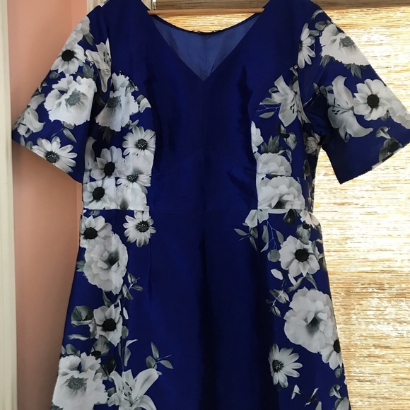 Beautiful size 22W, fully lined (except for sleeves) A-line style, formal dress. - Picture 4 of 7